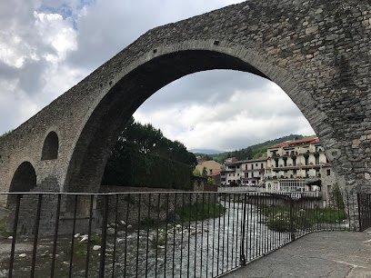 Anna Maria Aneiros Bosch , Sant Joan de les Abadesses – Girona